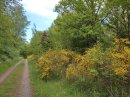 Hagenbach (Allemagne)